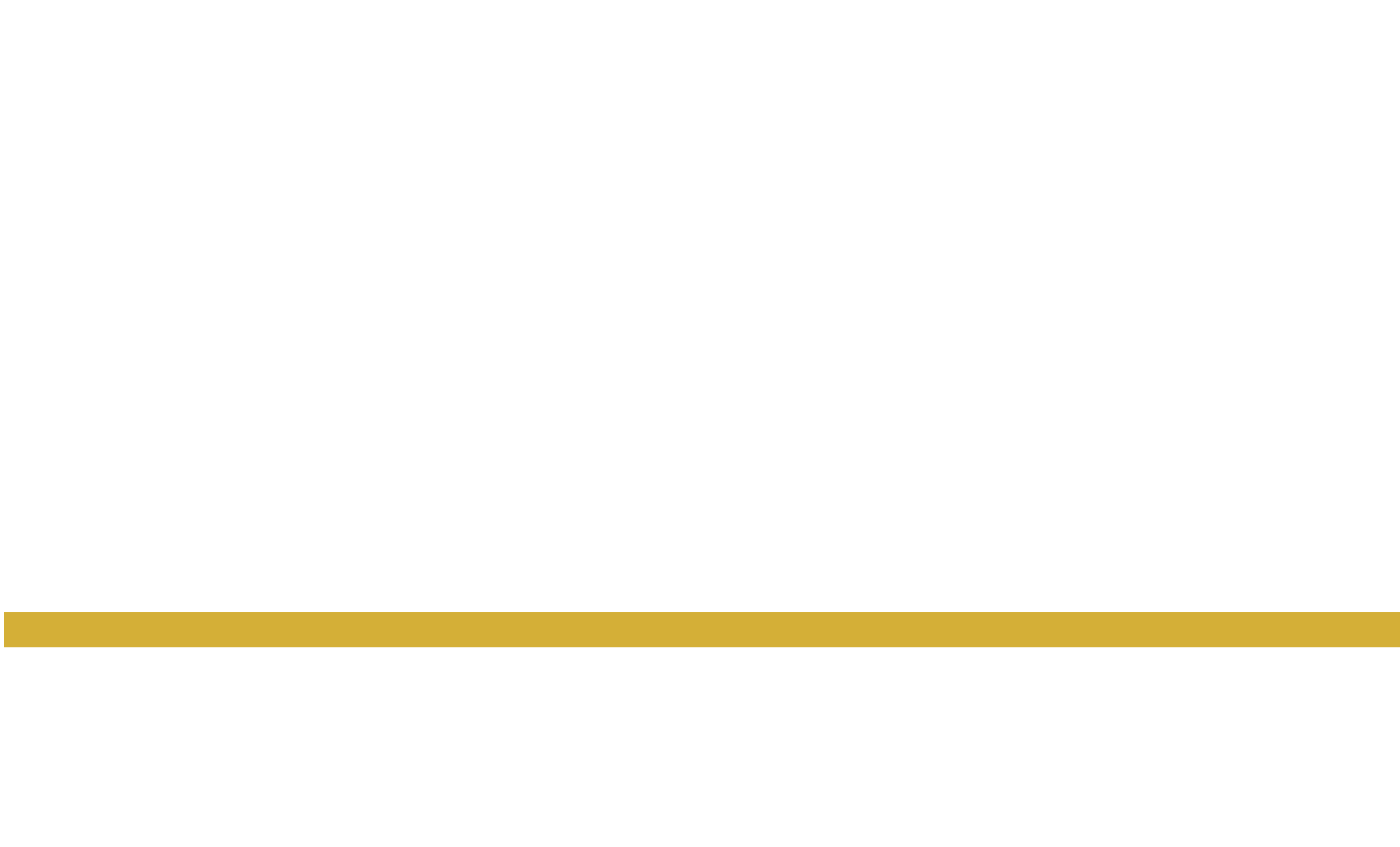 DSI Portal logo